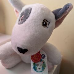 Teddy - Keel