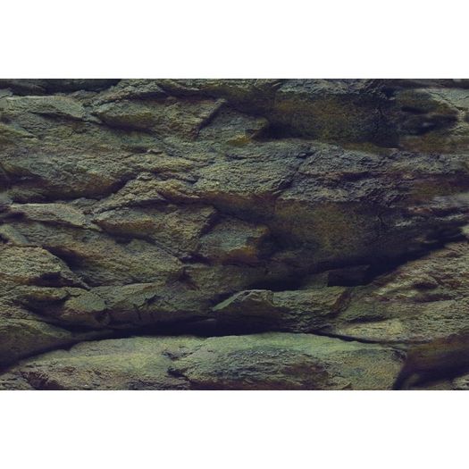 Rock-Plants background 150x60cm