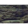 Rock-Plants background 150x60cm Image 3