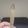 Antique Mother of Pearl fish knives Image 4