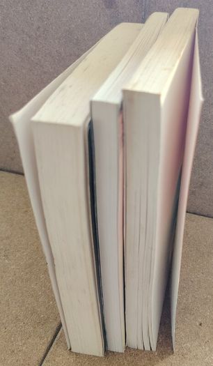 Children's School Reading / Modern Classics Book Bundle (Morpurgo, Pullman)