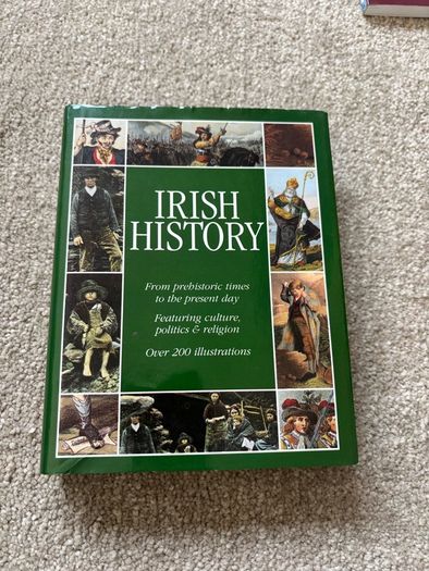 Irish History: From Prehistoric Times to the Present Day by Seamas Mac Annaidh