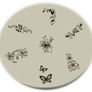 5 nail stamping plates lot - New Image 4