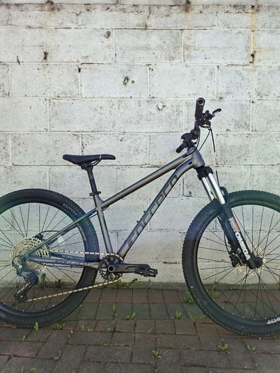 Carrera Sulcata 3.1