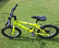 Raleigh bike 16 inch