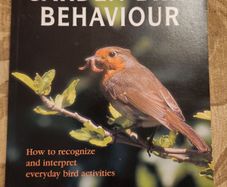 Garden Bird Behaviour. Robert Burton. How To Recognise And Everyday Bird Activities. First Edition Large Volume Paperback In Good Condition.