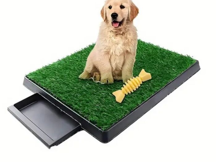 Puppy training pad