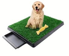 Puppy training pad