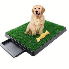 Puppy training pad