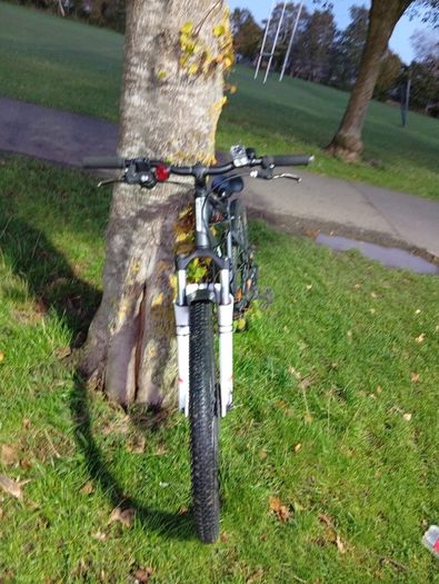 Rockrider Mountain Bike
