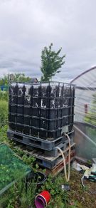 Ibc water tank 1000l