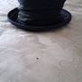 Failsworth Hat Image 4