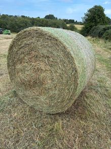 Organic Meadow hay
