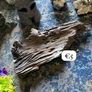 Fish Keeping aquarium decor / accessories Image 10