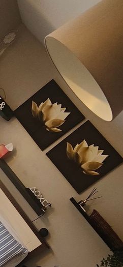 2 Canvas pictures