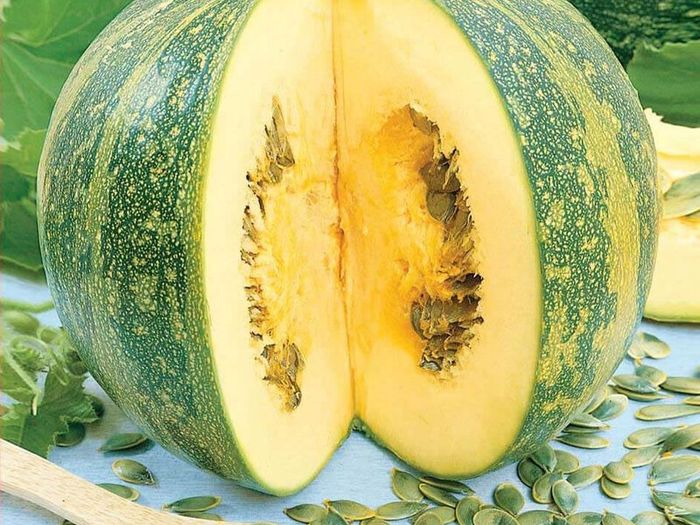 (S) Squash Olga seeds 1g (124381)