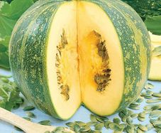 (S) Squash Olga seeds 1g (124381)