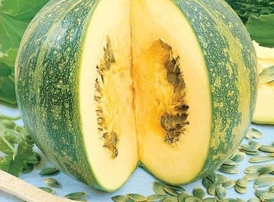 (S) Squash Olga seeds 1g (124381)