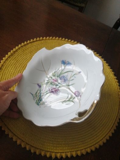 Porcelain bowl