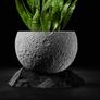 Modern 3D Printed Decorative Plant Pot Image 2