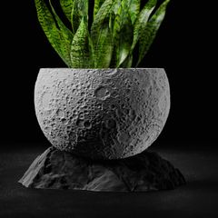 Modern 3D Printed Decorative Plant Pot