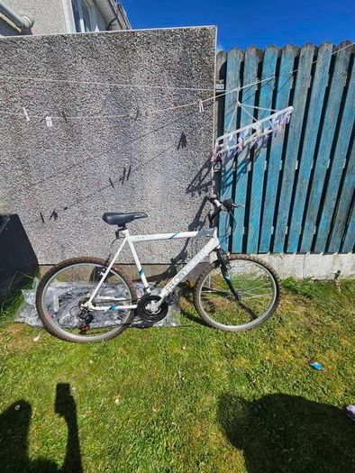 Mans Bike