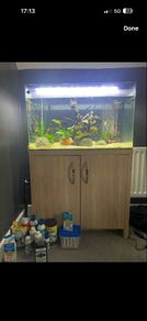 fish tank