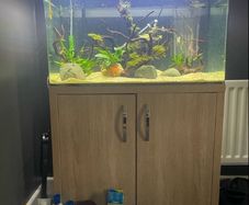 fish tank
