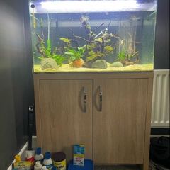fish tank