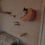 cat wall Image 3