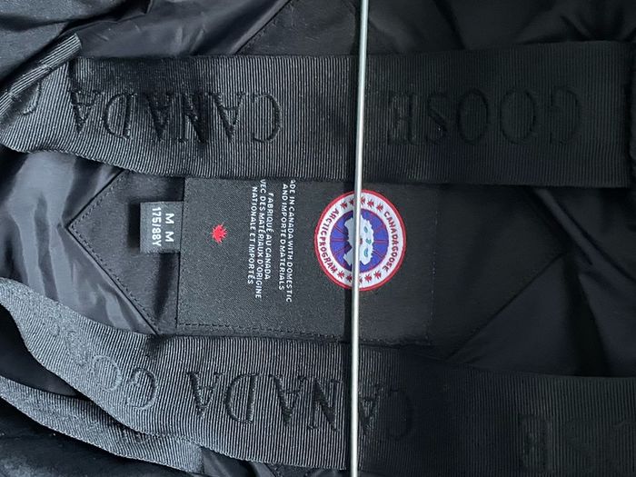 canada goose
