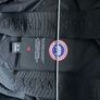 canada goose Image 6
