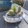 Fabulous Antique W. Adams Two-Handled Tureen with Cacti Garden - A Fabulous Unique and Decorative Item for Display Indoors Image 4