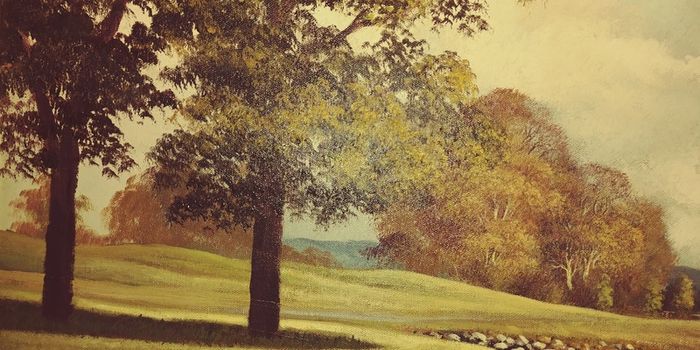 Beautiful original liam jones oil on canvas.