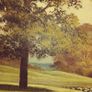 Beautiful original liam jones oil on canvas. Image 3
