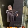 Star Wars Luke Skywalker Jedi Knight Statue Bust by Gentle Giant (Not Hot Toys or Sideshow) Image 6