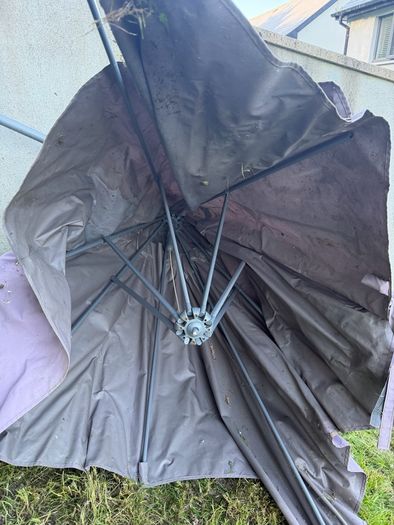 Umbrella