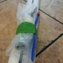 11ft ceiling mounted curtain rail Image 5