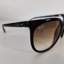 Rayban RB4167 Brown Image 2