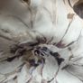 Gustav Ladies Scarf Image 4