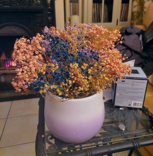 Pottery Flower Pot - Dried Flowers included.