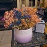 Pottery Flower Pot - Dried Flowers included. Image 6