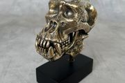 Gorilla Skull - Polished Bronze (Signed)