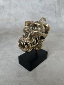 Gorilla Skull - Polished Bronze (Signed)