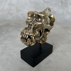 Gorilla Skull - Polished Bronze (Signed)