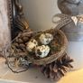 Rabbit nest and vintage metal print Image 5