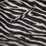Luxe Zebra Statement Coat by JD Williams UK 18 (Generous Fit), AV Image 10