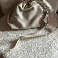 Demellier clutch/crossbody leather bag