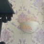 Pair Laura Ashley wall lights Image 2