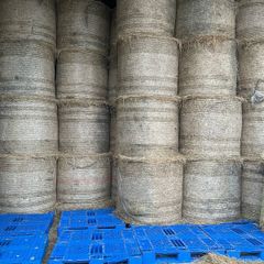 Round bales of quality hay